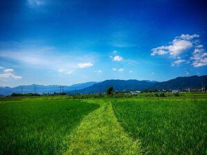 JICA President Tanaka Visited the Kingdom of Bhutan and the People’s Republic of Bangladesh ｜ News＆Publication – jica.go.jp